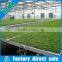 Vegetable and flower wleded wire mesh movable greenhouse seedbed