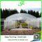 High tunnel greenhouse single span green houses