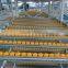 roller placon conveyor with plastic roller skatewheel placon roller steel frame