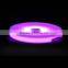 hot sales RGB flash rack bottem display for wedding
