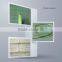 Raw rattan flat oval core god polished, flexible