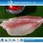 Top quality and competitive price CO treated ivp frozen tilapia fillet