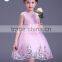 Cheap Vietnam Girls fancy dress pink princess party dresses flower shining Performance girls Fluffy dress