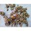 Supply of medicinal materials in western hubei mountain area treasure chicken feet coptis zadeh super series rare traditional Chinese medicinal materials
