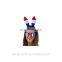 carnival party Cat Ears Black and White