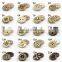 Hot 4 holes 12mm Custom Nice Crafts Coconut Buttons for Shirt