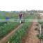Small type chinese chives harvester machine for sale celery parsley reaping machine