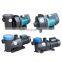 Portable Used Small Pool Pumps, Commercial Electric 800w Inground Swimming Pool Pump