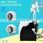Portable Fat Freeze Body Fat Cell Reduction Slimming Beauty Machine For Sale