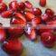 super quality pome seeds largest exporters