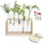 Modern Flower Bud Vase Stand Tabletop Terrarium wooden Wall Hanging Test Tube shelf