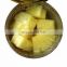 EXPORTER WHOLESALE PINEAPPLE SLICES/ CHUNKS/ PIECES/ CRUSHED IN SYRUP CANNED  ORGANIC 100% FROM VIET NAM WITH BEST PRICE