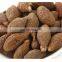High quality malva nut helps to heat/Brown Nutritious Dried Malva Nuts from Vietnam