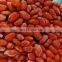 Sinocharm New Crop BRC A Approved Nutrient-rich IQF Goji Berry Frozen Fresh Goji