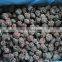 Wholesale IQF Berries/ Raspberry/ Blueberry/