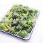 Factory IQF Frozen Broccoli Floret 4-6CM