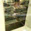 Incubator 200L Lighting Incubator BJPX-L200BK for Sales Price