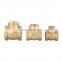 LIRLEE Durable OEM ODM 1INCH 2INCH 3INCH 4INCH DN10 DN15 DN20 DN25 Water Non Return Valve