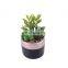 Mini Succulent Plants Cheap Artificial Plants With Pot Set Faux Plant Art For Decoration