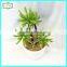 20cm hot sale artificial cactus home decor