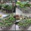 APEX supermarket shelf or grocery stainless steel fruit vegetable display rack/vegetable and fruit display shelves
