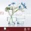CASAMOTION Clear Hand Blown Art Glass Vase Hurricane with No MOQ and Gift Boxed, Large