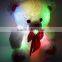 light up teddy bear plush toy/Led teddy bear/cheap teddy lighting bear toys