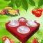 flower arrangement cob grow light full spectrummars led mushroom growing