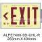 UL 924 Self-Luminous Exit Signs
