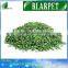 Designer cheap landscaping artificial turf mat
