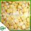 High Quality Sweet Corn Kernel