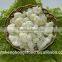 2014 Hot Sale IQF Cauliflower Wholesale