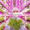 Shenzhen Factory Best LED Grow Light Strips for Growing Plants Lights for weed
