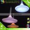 LED Suspended decorative Ceiling Light with remote control