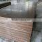 Hardwood /Eucalyptus core/ Brich core two times press Marine plex brown film faced Plywood big size