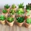 High Quality Artificial Succulent Plants Export Succulent Plants