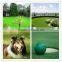 Certificated Turf Artificial Grass for Kids/Pets