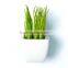 Nearly Natural Artificial Succulent With Ceramic Vase