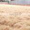 Coconut Fiber _ QQ : 2598494113 FOB : 200$ - 235$