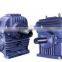 Worm and Worm Gear Reducer