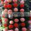 4" 6" 8" 10" 12"14" 16" 20" Tissue Paper Pompoms Pom Poms Balls Wedding Party Decor Orange tissue paper PomPom