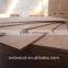 4X8ft rotary cut okoume / bintangor plywood