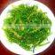 Frozen wakame stem cut salted