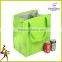 eco-friendly insulated handled cooler bag