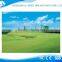 Outdoor Artificial Garden Landscape Grass Carpet