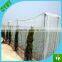 40 mesh UV tomato insect proof net fly net
