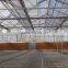 Tempered Glass Greenhouse/Hydroponics Greenhouse/Commercial Greenhouse