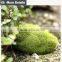 New 2017 product idea gardening products wholesale floor mat for decoration