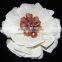 Mumplant Corn Leaf Hand made Flower