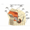 high efficiency Impact Crusher,impact crusher machine with large capacity
